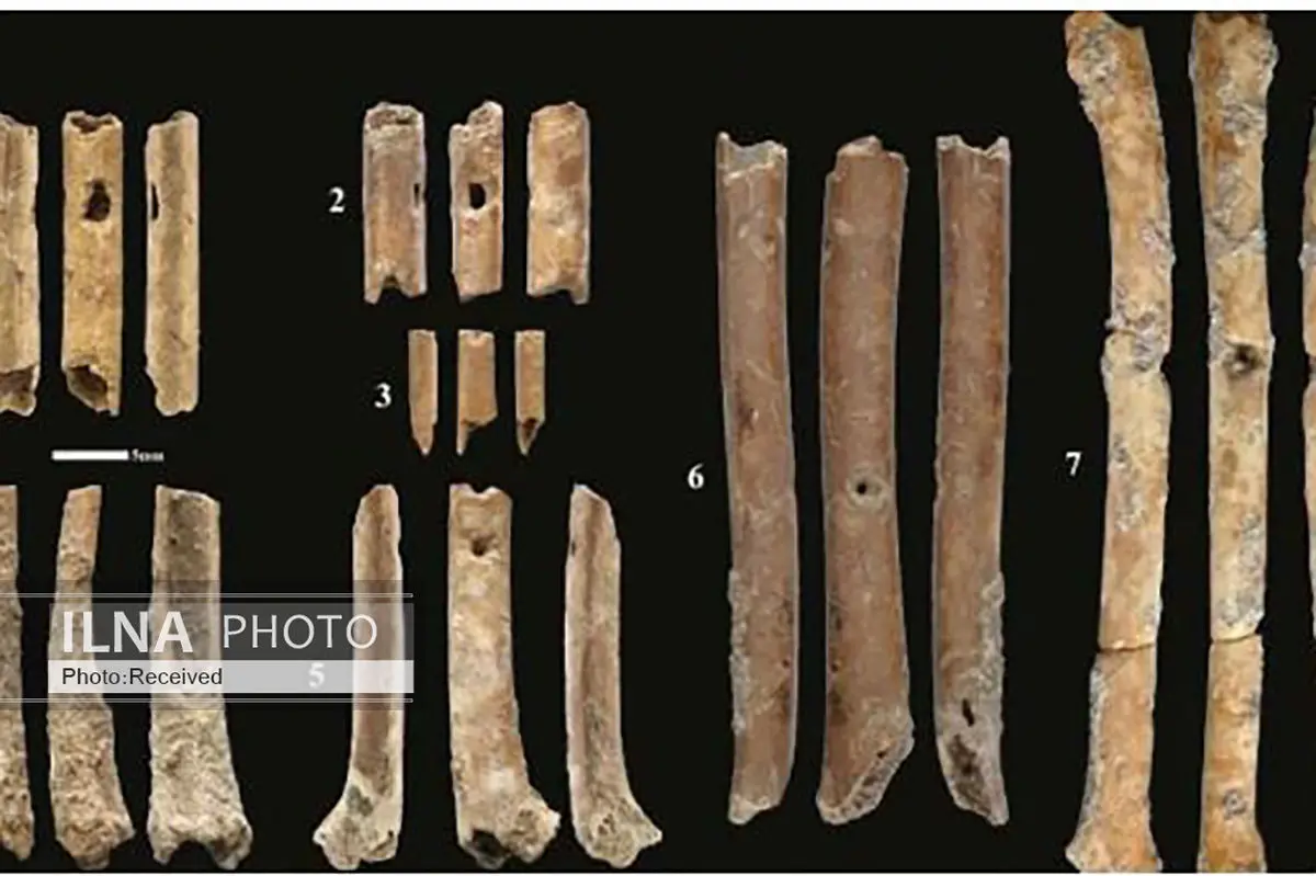 کشف فلوت‌های ماقبل تاریخ در فلسطین