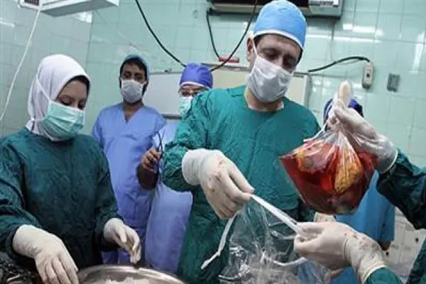 تعلیق موقت عمل‌های پیوند کلیه در ایام بمباران/ کادر درمان حتی یک روز میدان را خالی نکرد