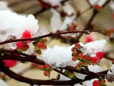 دمای هوا در چهارمحال و بختیاری کاهش پیدا می کند