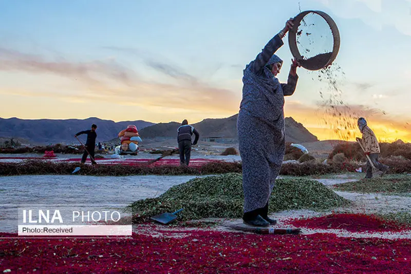 گالری