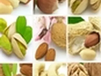 دومین نمایشگاه بین‌المللی خشکبار گشایش یافت