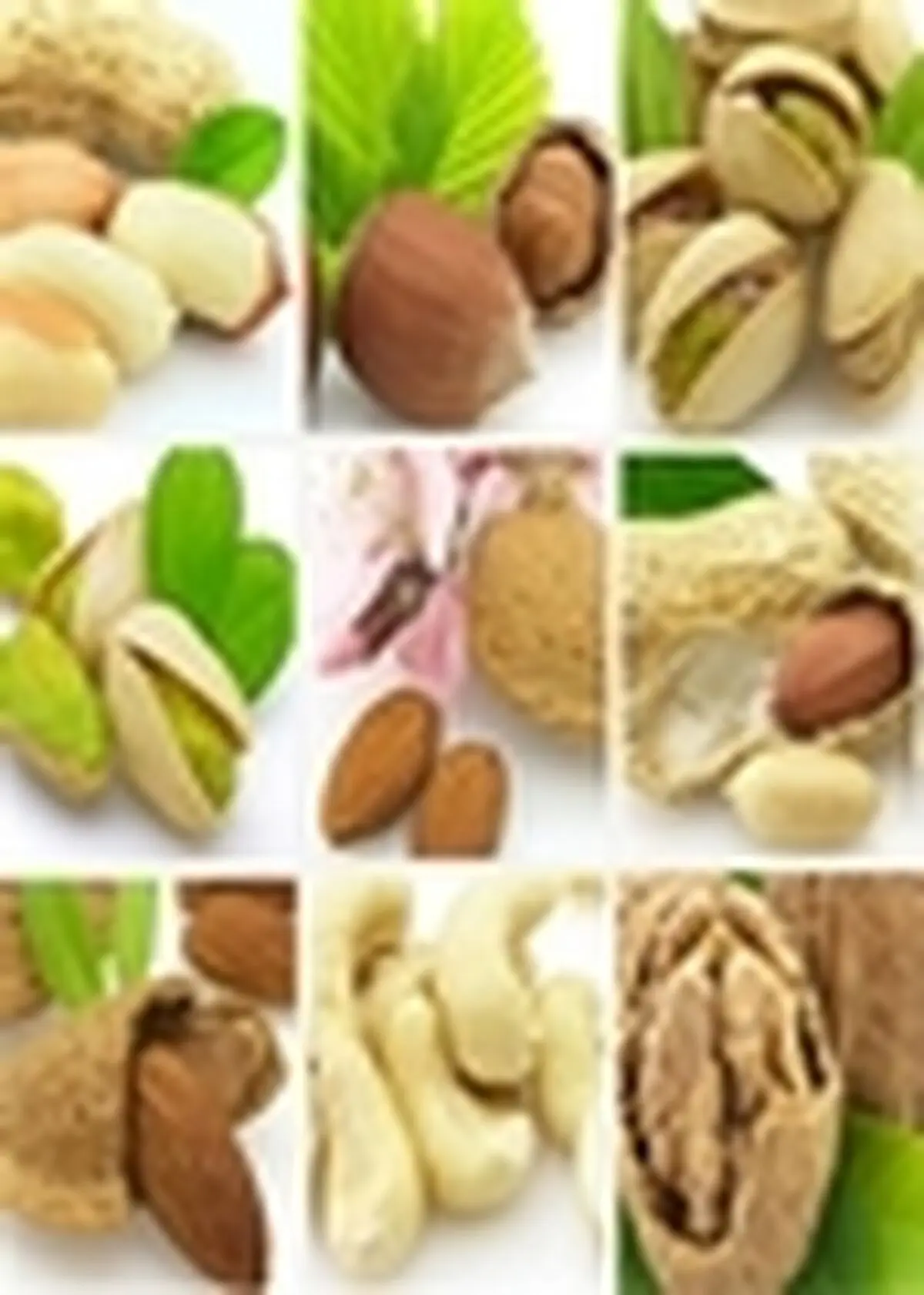 دومین نمایشگاه بین‌المللی خشکبار گشایش یافت