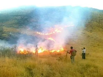 آتش سوزی منطقه حفاظت شده جهان نما مهار شده است