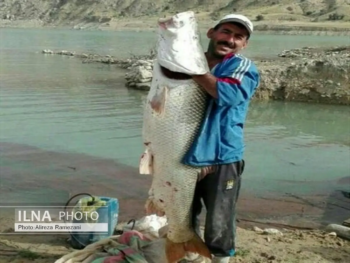 صید عظیم الجثه یک ماهیگیر در گچساران+عکس