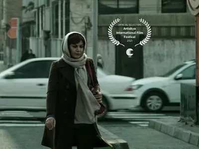 «پلان آخر بازی» از جشنواره فیلم آنتاکیا جایزه گرفت