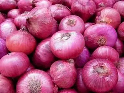 پیاز همچنان بر مدار گرانی/ پیاز هم در حال پر کشیدن از سفره‌ها/یک مسئول: سعی می‌کنیم تا هفته آینده بازار پیاز به ثبات برسد
