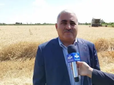 مشارکت بیش از 34 هزار کشاورز آذربایجان غربی در طرح جهش تولید در دیم زار‌ها
