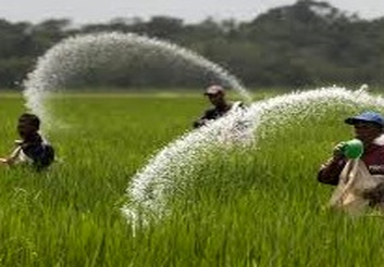 بازی با جان کشاورزان در صف‌های طولانی برای دریافت حواله کود/ افزایش نگرانی از ابتلای کشاورزان و روستاییان به کرونا