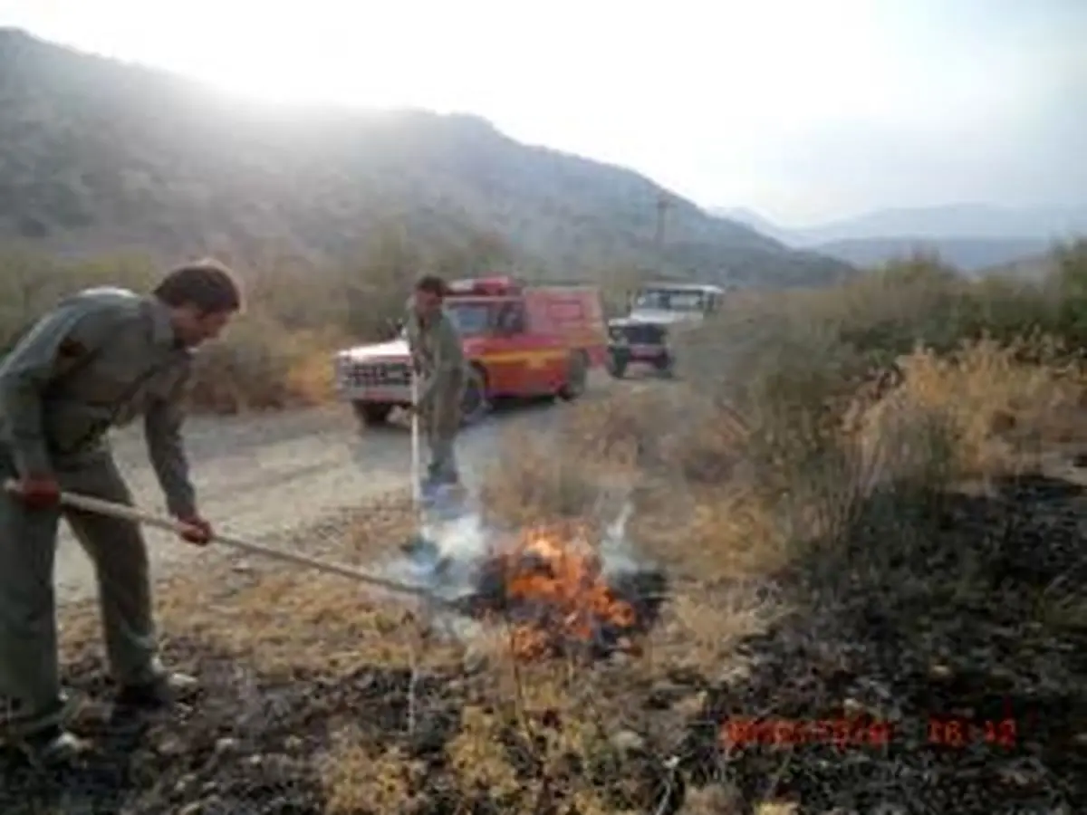 مهار آتش‌سوزی در  پارک‌ ملی دز