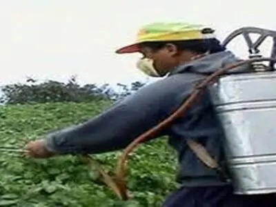عدم مصرف صحیح دلیل باقی ماندن سموم در محصولات کشاورزی/ انتقاد از تخصیص ارز یارانه‌ای به واردات سموم مشابه داخلی