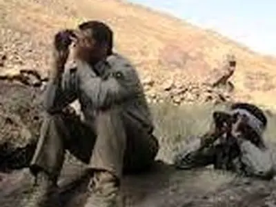 سرشماری تابستانه وحوش در کردستان آغاز شد