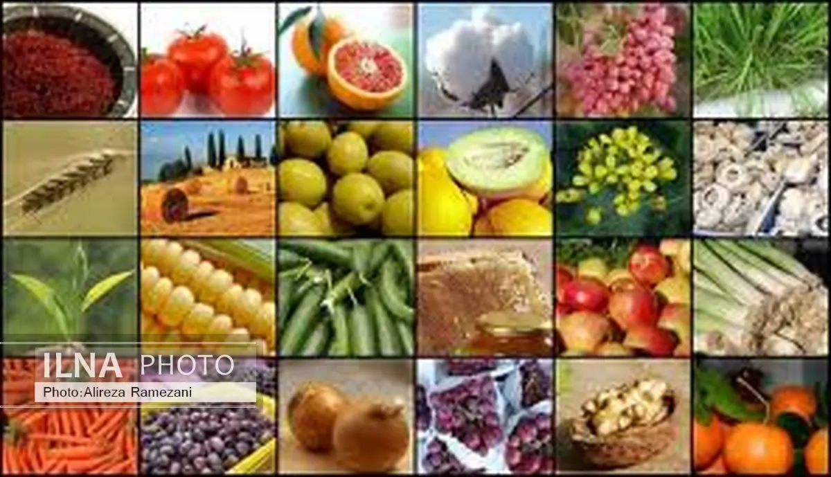خانه صادرات خراسان رضوی برای اولین بار در کشور افتتاح میشود