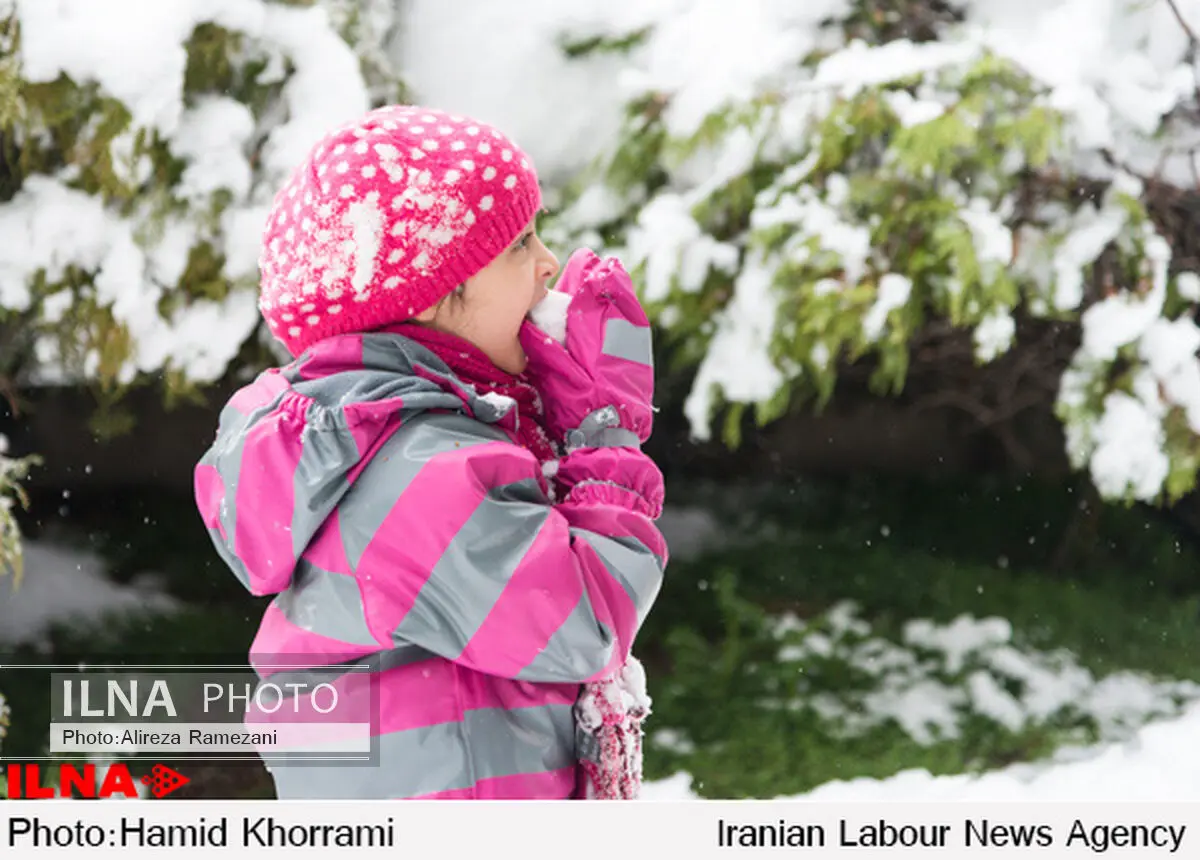 بدرقه برفی و آفتابی نوروز در شمال و جنوب ایران