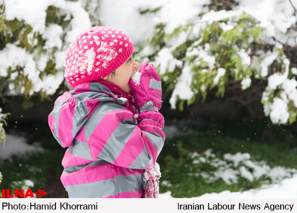 استقرار جوی آرام و پایدار در اغلب نقاط کشور/ دمای 21 استان به زیر صفر رسید