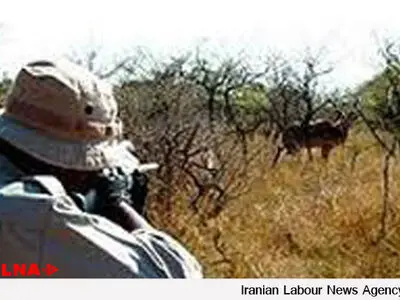 ۷ متخلف شکار و صید در قزوین دستگیر شدند