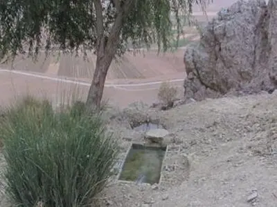 ۲۰ آبشخور بتنی دام در مناطق ییلاقی استان اردبیل احداث شد
