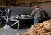 صادرات پشم آزاد شد