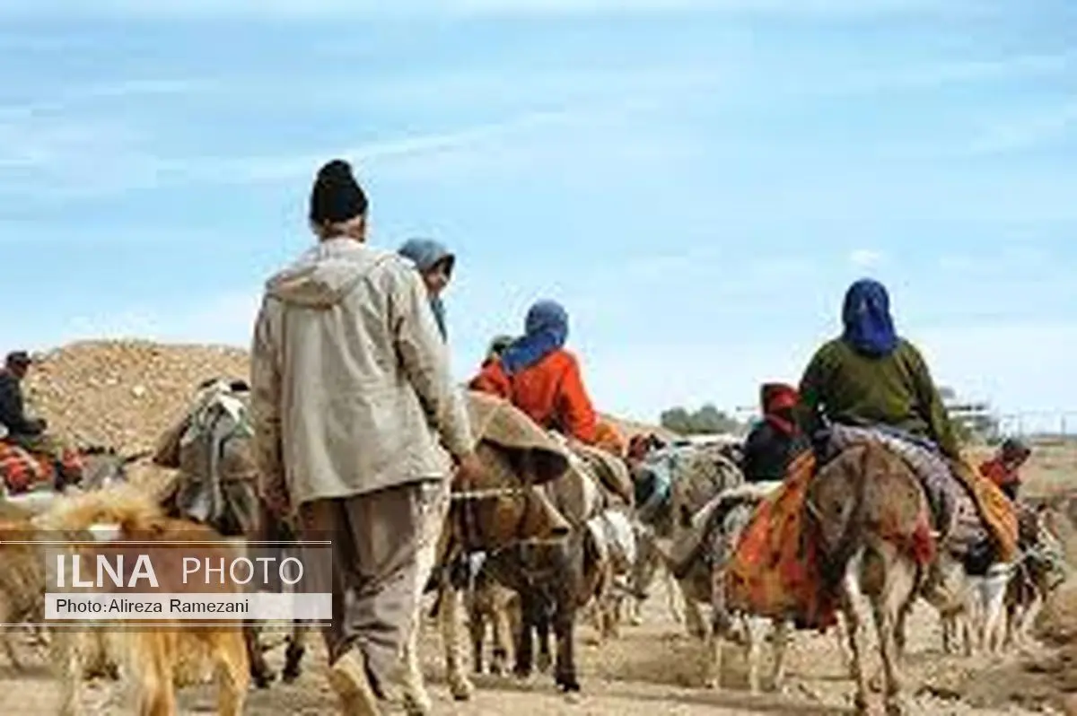 ۴۰ درصد از دام‌های عشایر بیمه می‌شوند