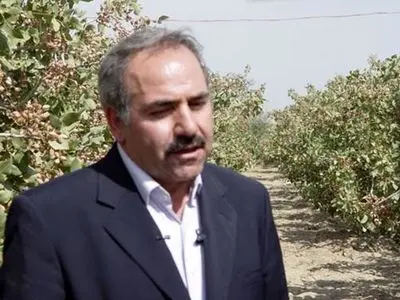 امکان کشت پسته در ۳۰ هزار هکتار از اراضی حاشیه دریاچه ارومیه