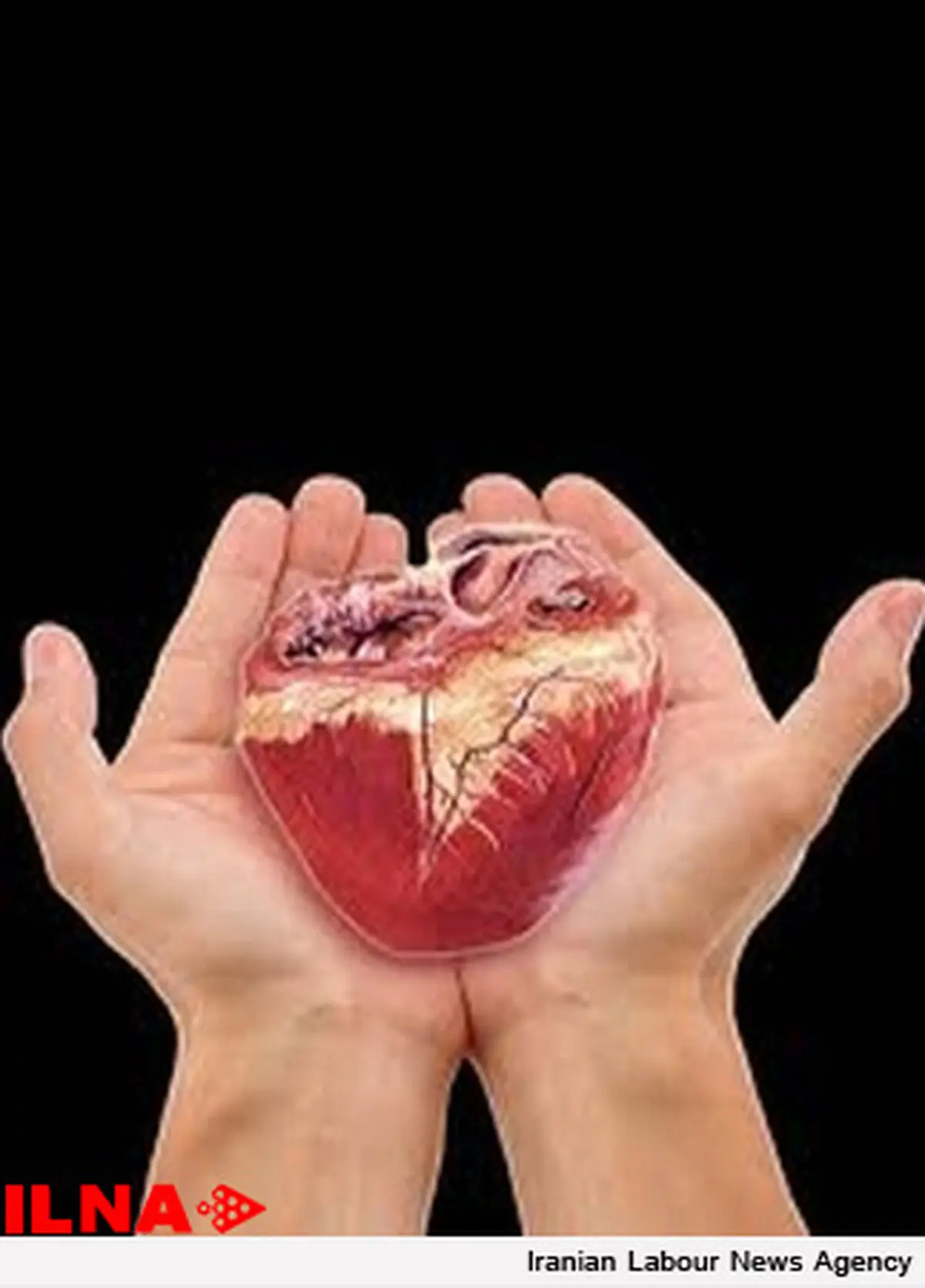 انجام دومین عمل پیوند عضو در سال جدید در خوزستان