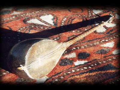 دوتار ایرانی گوش بیگانگان را می‌نوازد