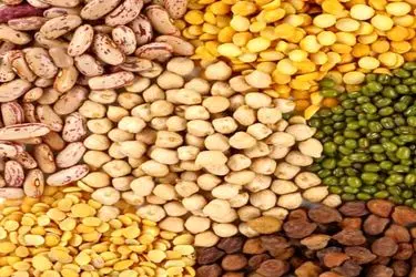 قیمت حبوبات بسته‌بندی شرکتی در بازارهای میوه و تره‌بار 