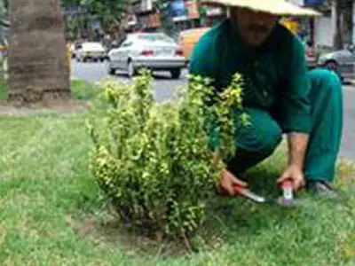 سه کارگر اخراجی شهرداری امیدیه خواستار بازگشت به کار هستند/ شهردار: تابع قانون هستیم/ عضو شورای شهر: تا وقتی به وضعیت کارگران رسیدگی نشود، در جلسات شرکت نمی‌کنم