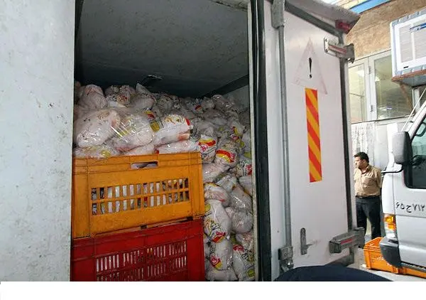 کیفرخواست متهمان پرونده قاچاق ۷۰ تن مرغ در مرز شلمچه صادر شد / متهمان از اتباع بیگانه و استان‌های دیگر هستند