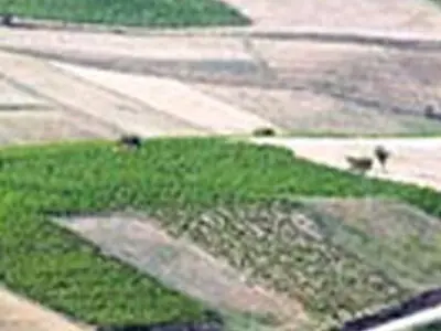 برخورد با ۵ مورد تغییر کاربری غیر مجاز اراضی در هندیجان