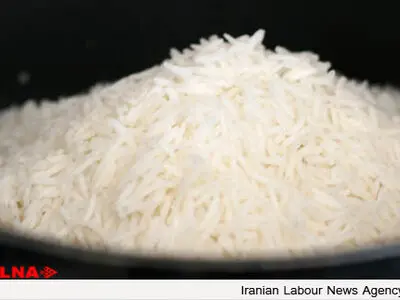 برنج پخته شده را تا چه زمانی می‌توانیم در یخچال یا فریزر نگهداری کنیم؟ 