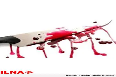 قتل زن ۳۷ ساله یاسوجی و دستگیری قاتل در کمتر از یک ساعت 