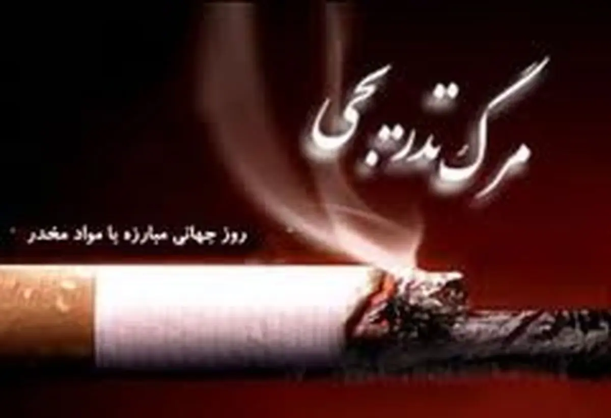 ارشاد استان البرز برنامههای متنوعی برگزار میکند