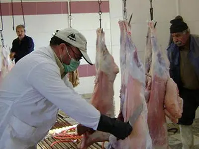 تشدید نظارت‌های بهداشتی بر کشتارگاه‌های دام و طیور خوزستان