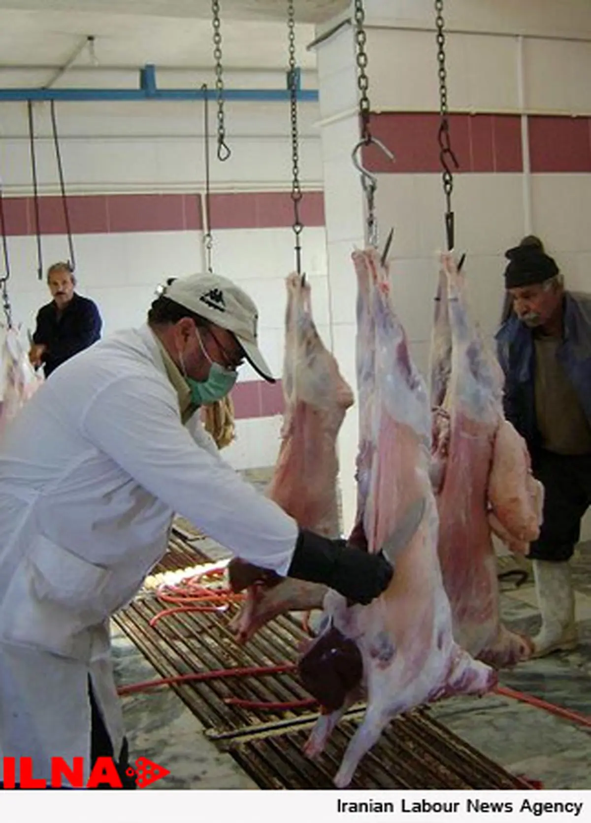 تشدید نظارت‌های بهداشتی بر کشتارگاه‌های دام و طیور خوزستان