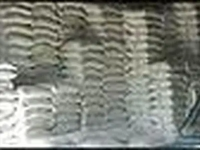 ماهانه 23 هزار تن آرد در آذربایجانغربی تولید میشود