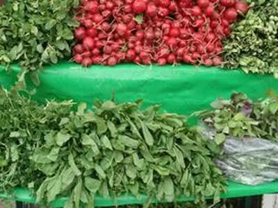 ترفند تازه نگهداشتن سبزی خوردن برای یک هفته