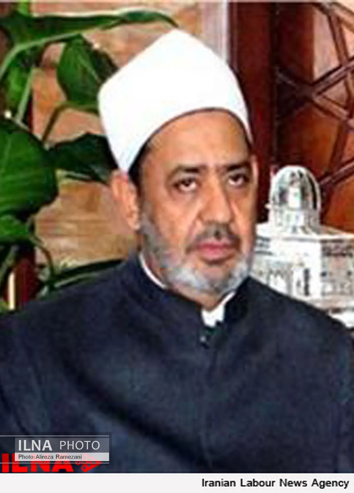شیخ الازهر تکفیر شیعیان را تقبیح کرد