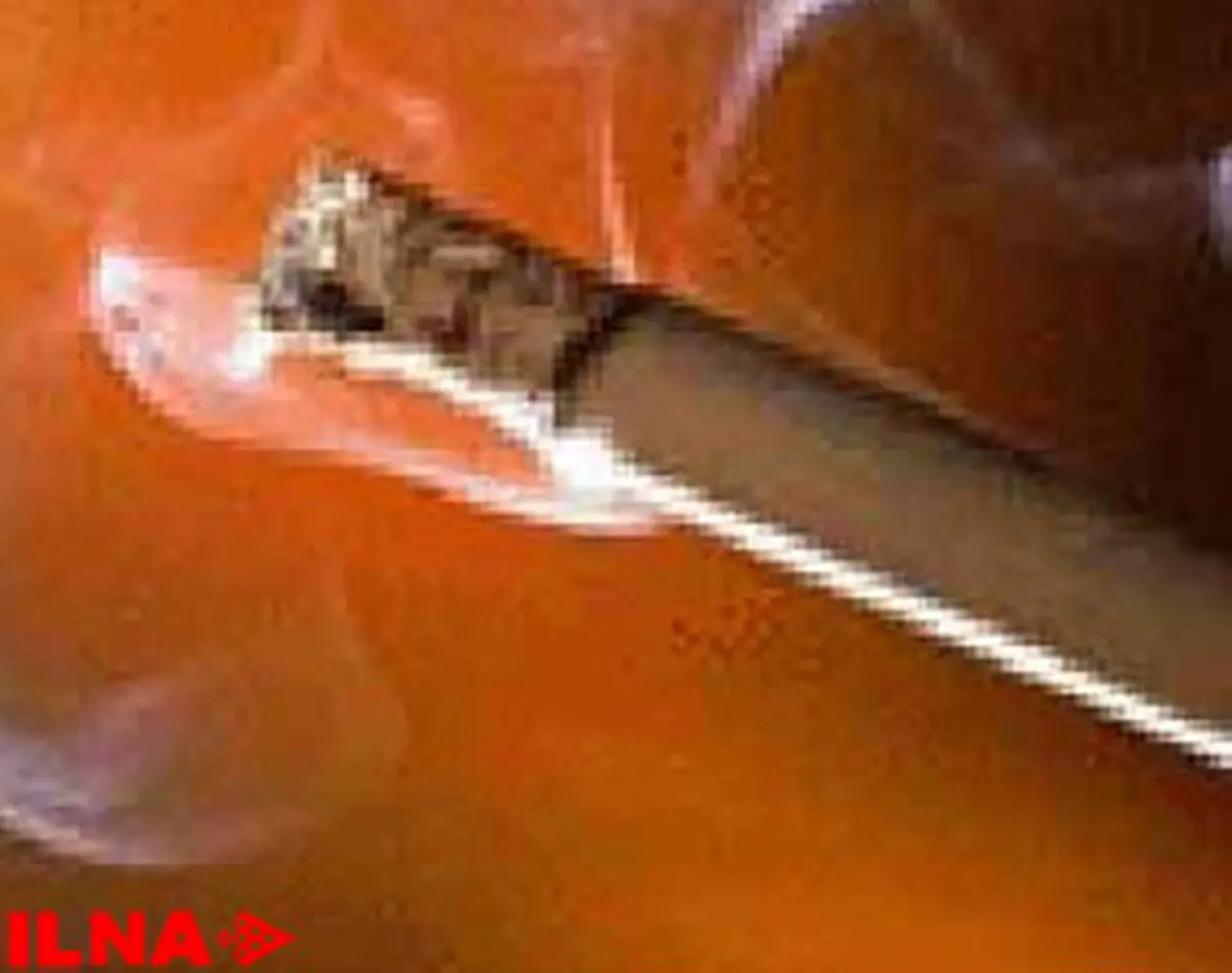 تنباکوی جنسی در پایتخت مشاهده نشده است