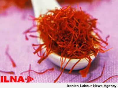 دستگیری ۱۲ قاچاقچی زعفران در مشهد 