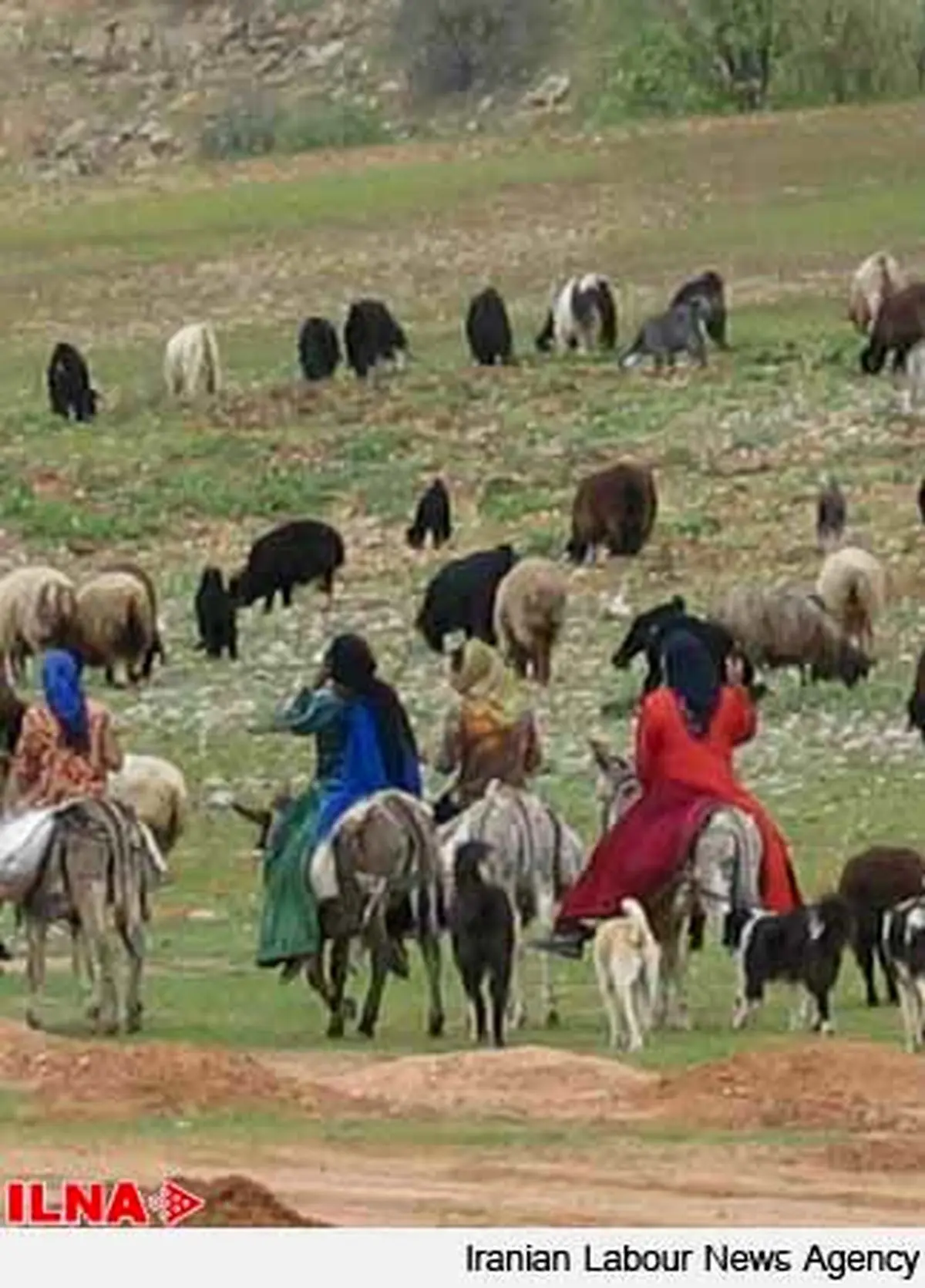 ساخت حمام خورشیدی توسط جوانان عشایری