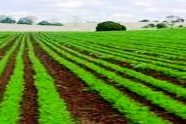 ایجاد و احداث ۵۴ طرح شاخص کشاورزی در استان همدان 