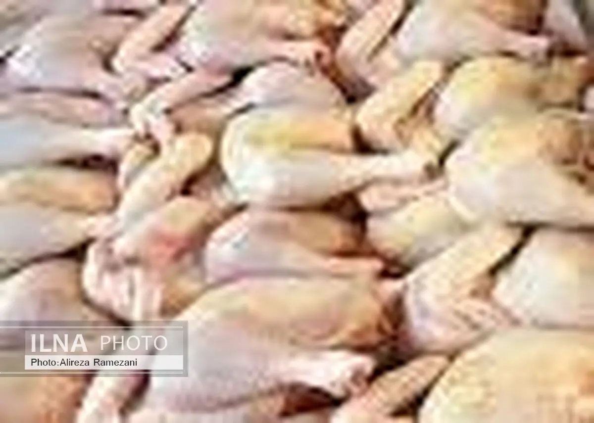 نام بیماری ناشی از مرغ نیم پز 