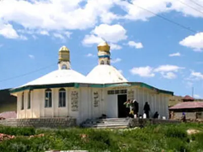 تنها ۲ هزار از ۸ هزار امام‌زاده در کشور شجره‌نامه دارد