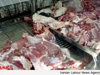 ابتلای ۴ نفر در کشور به بیماری تب کریمه کنگو/قصابان و دامداران در معرض خطر ابتلا به بیماری