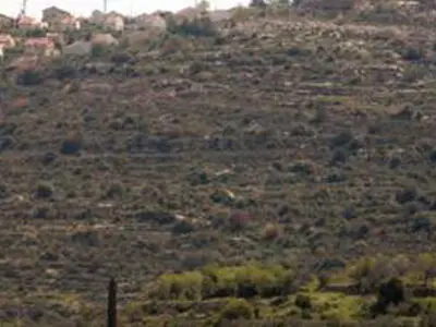 حمله اسرائیل به چادرهای فعالان بین‌المللی حامی فلسطین
