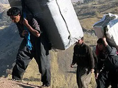 کوله‌بری با مدرک دکتری به دلیل نبودن اشتغال پایدار