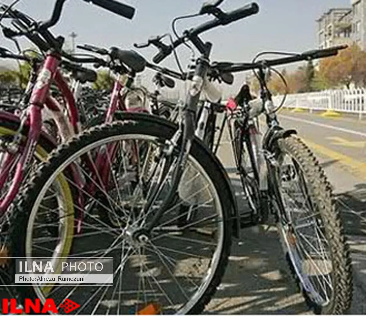 تعرفه واردات دوچرخه در ایران بیشتر از خودرو است 