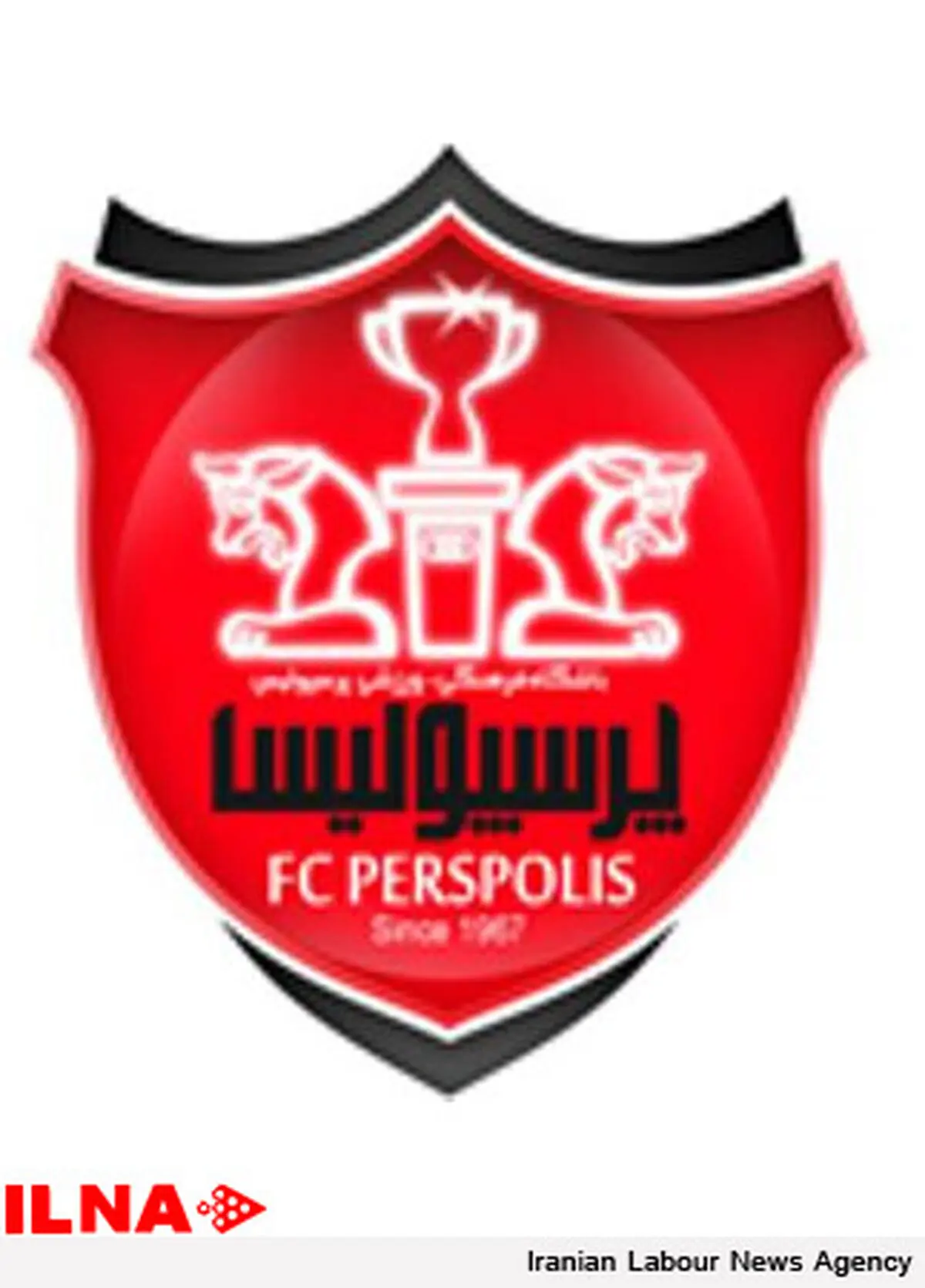 هاشمیان فردا در اردوی پرسپولیس حضور می یابد