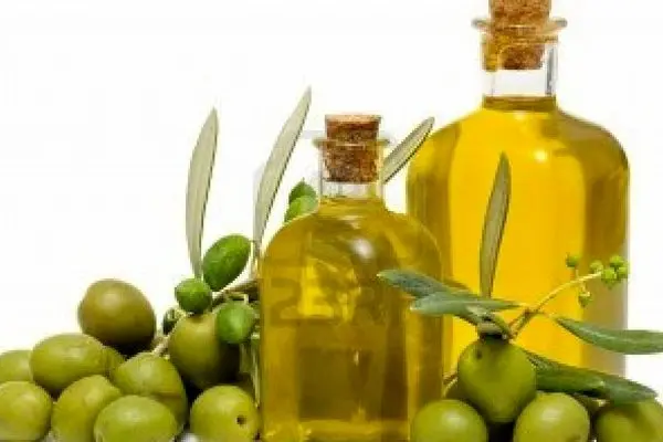 إيران تصدر أكثر من 1460 طنًا من منتجات الزيتون إلى 20 دولة