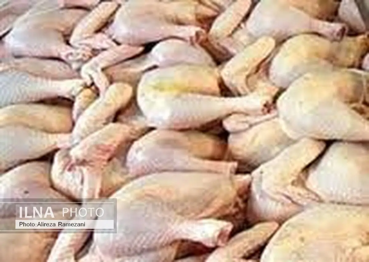 ذخیره‌سازی 600 تن گوشت مرغ در خراسان جنوبی